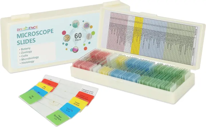 Prepared Microscope Slides — 60 Lab-Grade Specimens for Kids